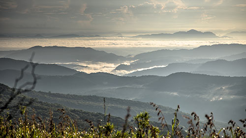 Sri Lanka Landscape